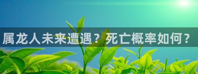 500彩票网2登录地址：属龙人未来遭遇？死亡概率如何？