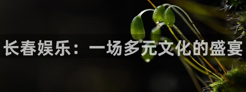 500彩票网体育注册：长春娱乐：一场多元文化的盛宴