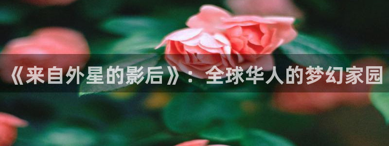 500彩票网4登录：《来自外星的影后》：全球华人的梦幻家园