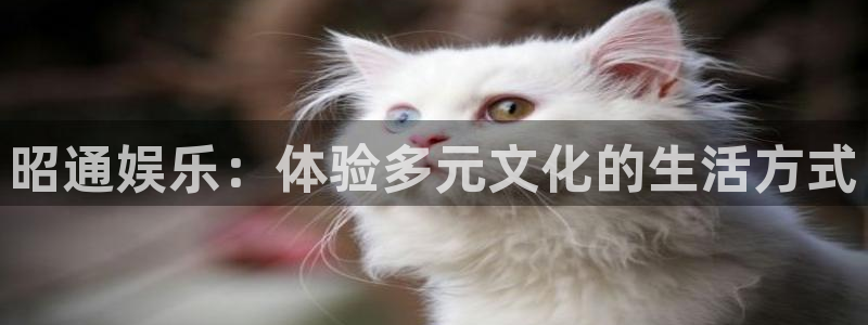 500彩票网2体育：昭通娱乐：体验多元文化的生活方式