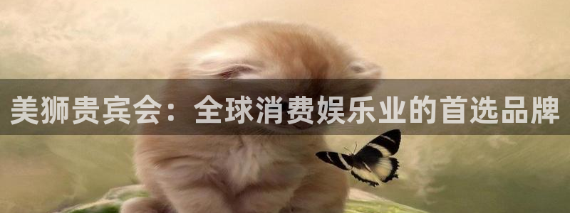 500彩票网体育凯捷平台代理：美狮贵宾会：全球消费娱乐业的首选品牌
