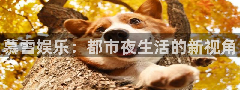 500彩票网体育合法嘛：慕雪娱乐：都市夜生活的新视角