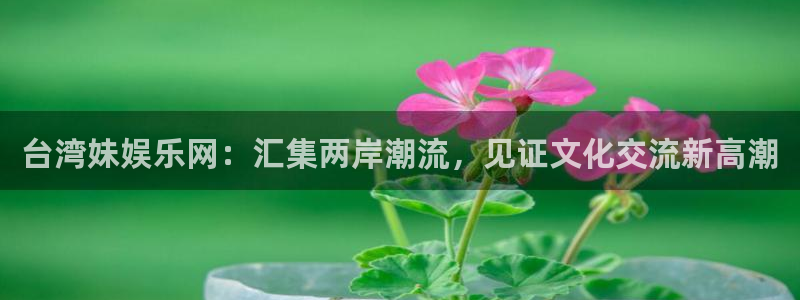 500彩票网4：台湾妹娱乐网：汇集两岸潮流，见证文化交流新高潮