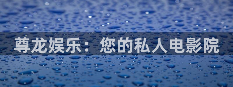 500彩票网体育平台总代理
